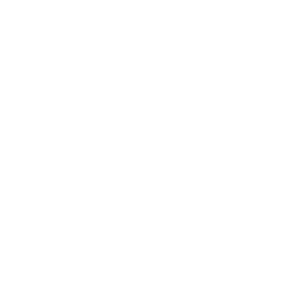 Steady logo